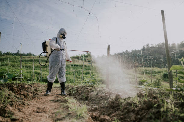 Best Mosquito Control Services  in Fayette, LA