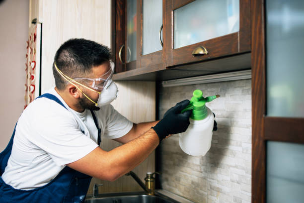 Best Affordable Pest Control Services  in Fayette, LA
