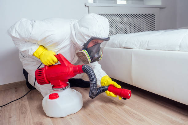 Best Pest Control for Homes  in Fayette, LA
