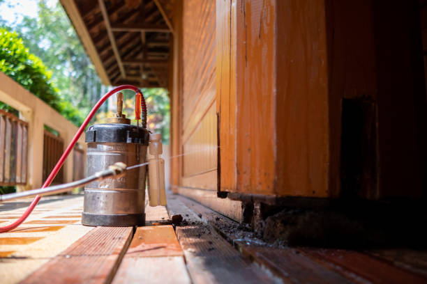 Best Affordable Pest Control Services  in Fayette, LA